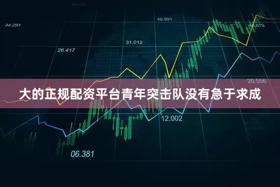 大的正规配资平台青年突击队没有急于求成