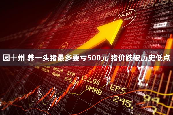 园十州 养一头猪最多要亏500元 猪价跌破历史低点