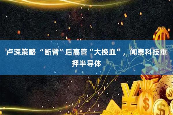 卢深策略 “断臂”后高管“大换血”，闻泰科技重押半导体